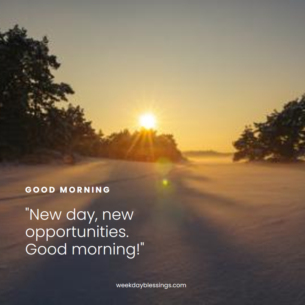 good morning images with quotes for WhatsApp