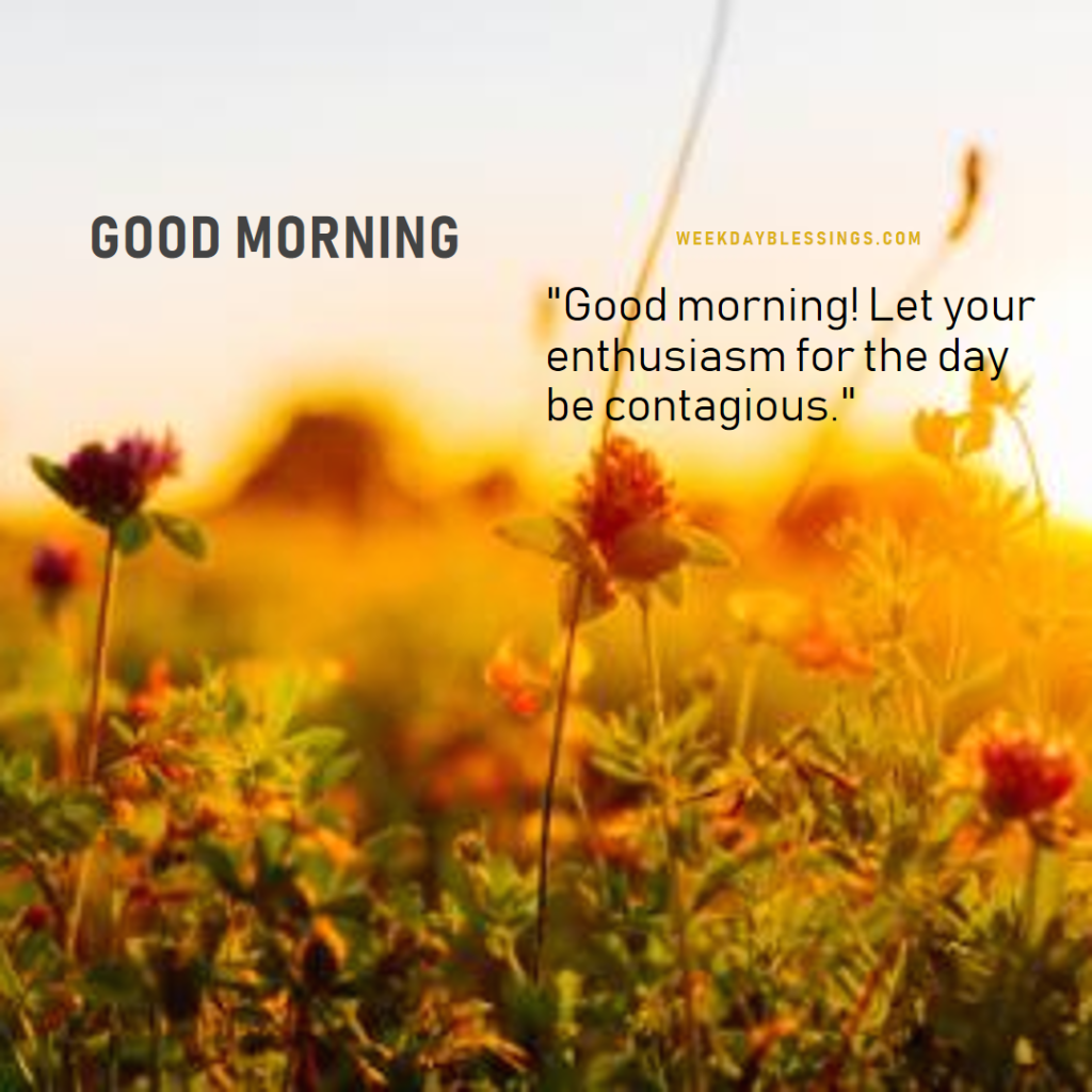 good morning images with quotes for WhatsApp